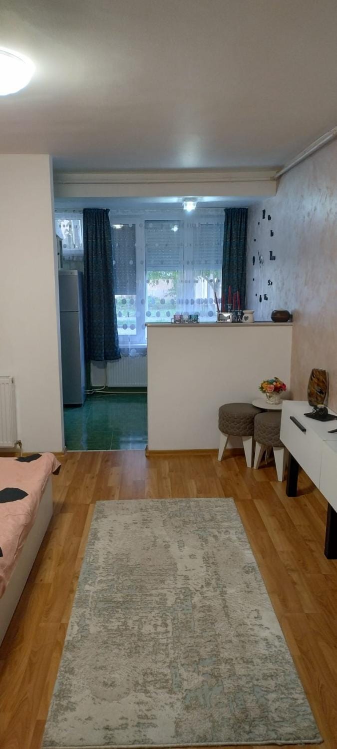 SOPHIA Central Studio Apartment in Serbia