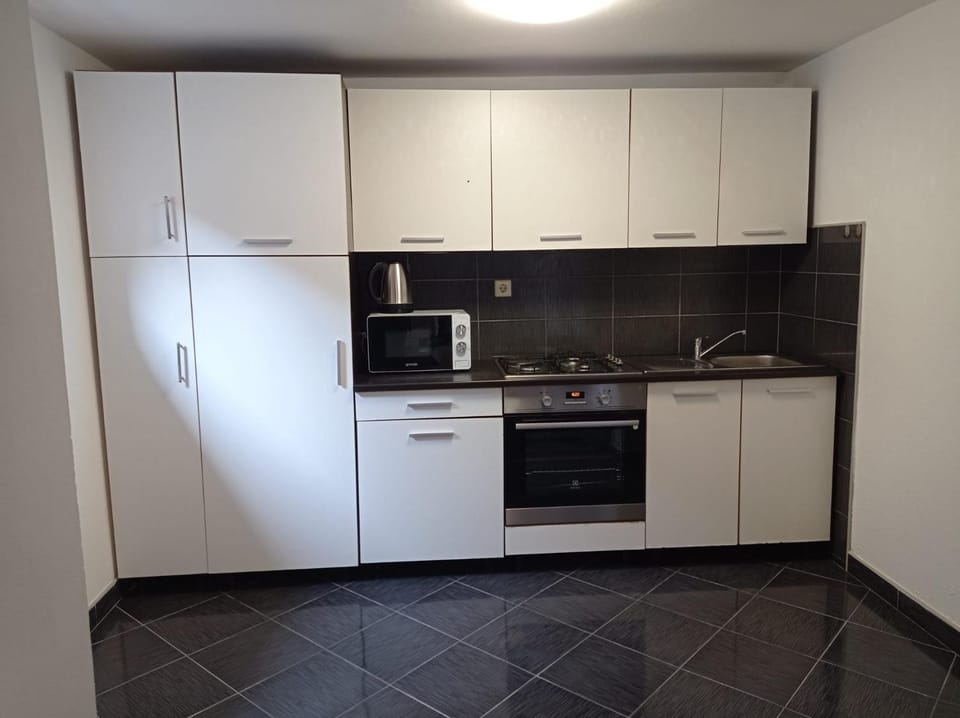 Kitchen or kitchenette, minibar, pet friendly, stove