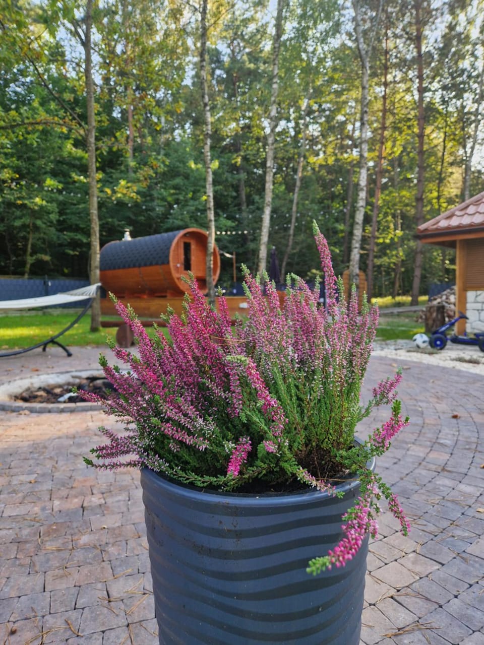 Natural landscape, BBQ facilities, Hot Tub, Sauna