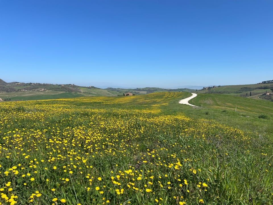 Spring, Natural landscape