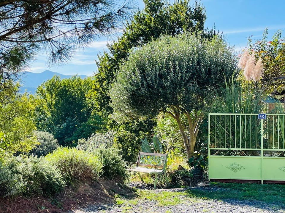 Garden view