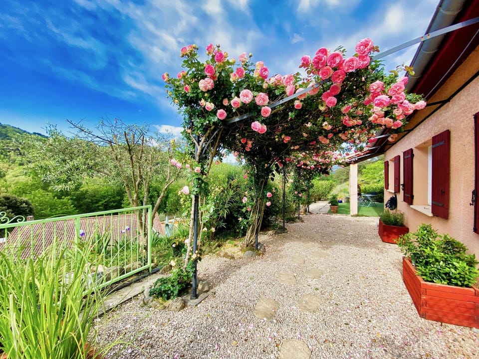 Spring, Natural landscape, Garden