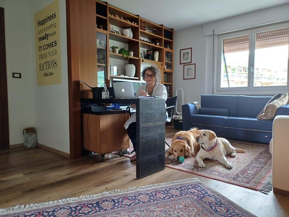 Staff, Lobby or reception