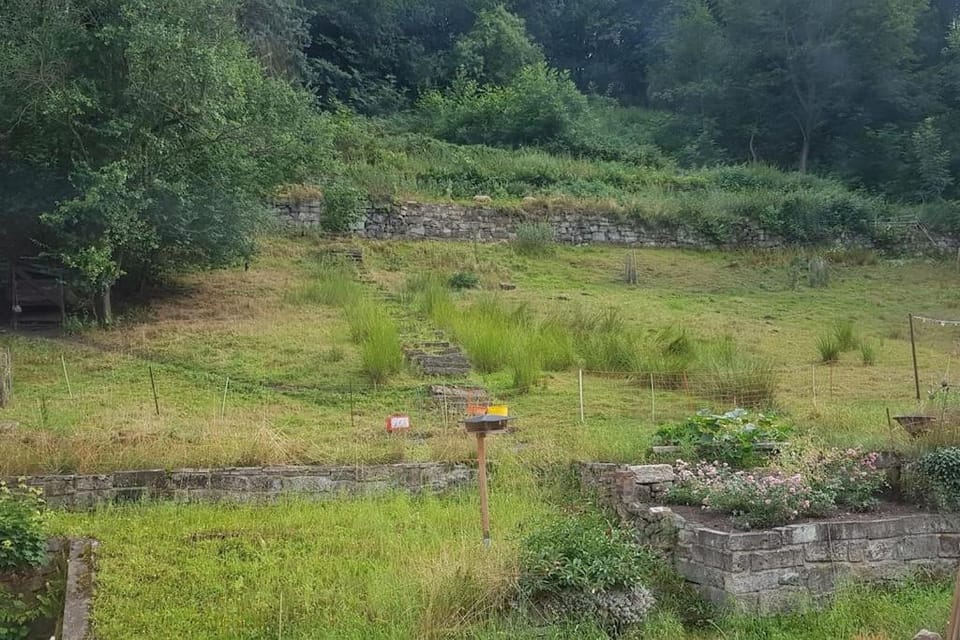 Natural landscape, Garden, Garden view