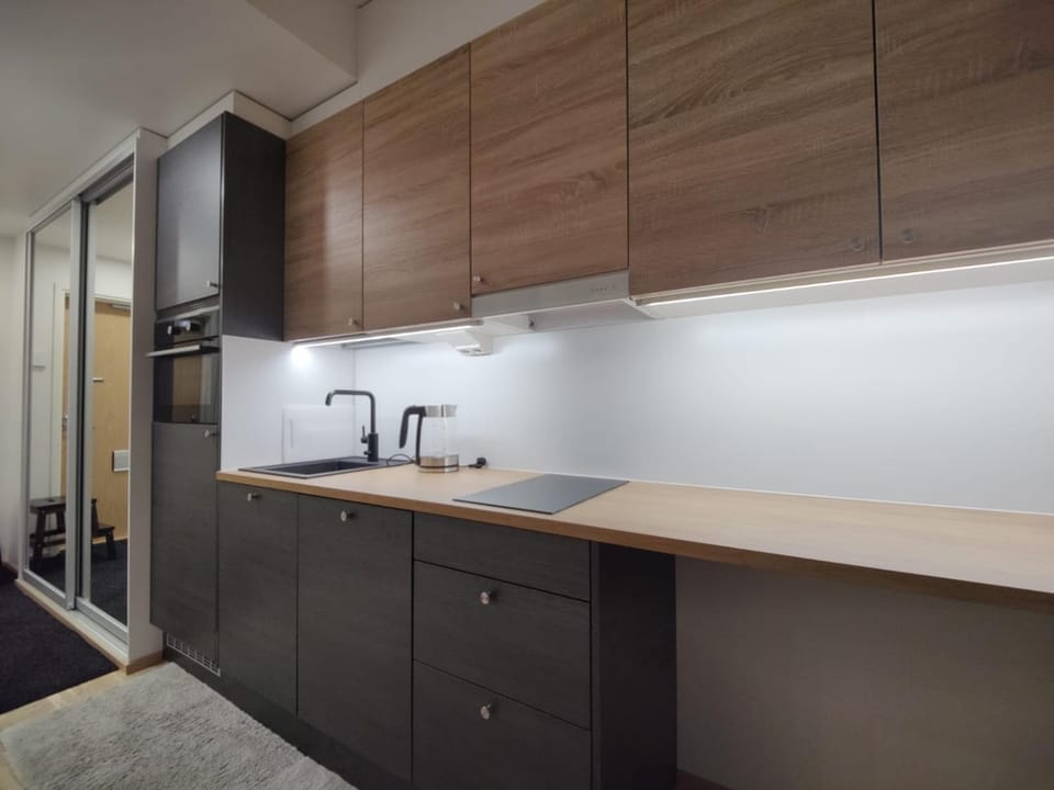 Kitchen or kitchenette, minibar, pet friendly, stove