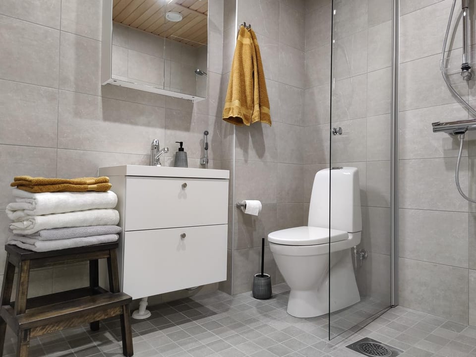 Shower, Toilet, Bathroom, towels