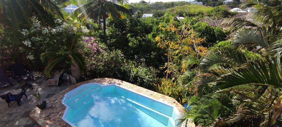 Garden, Swimming pool