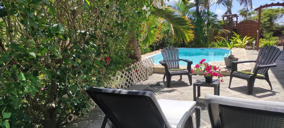 Patio, Garden, Balcony/Terrace, Pool view, Swimming pool, sunbed