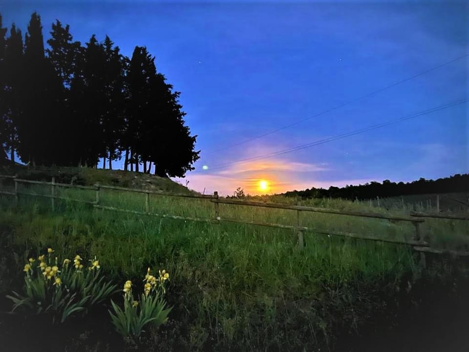 Natural landscape, Sunset