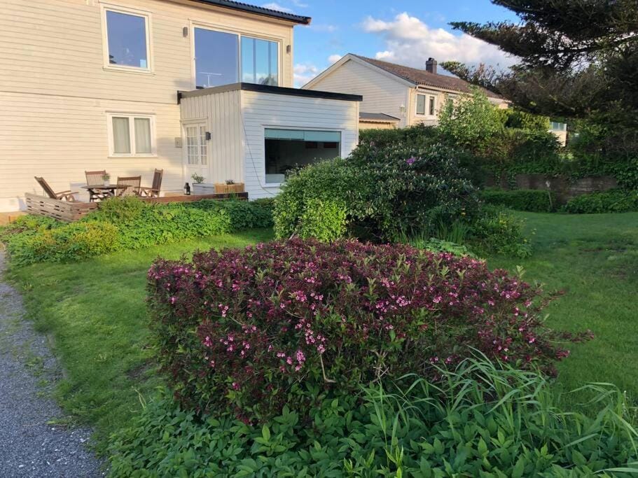 Lys og trivelig leilighet i Larvik Apartment in Viken, Norway