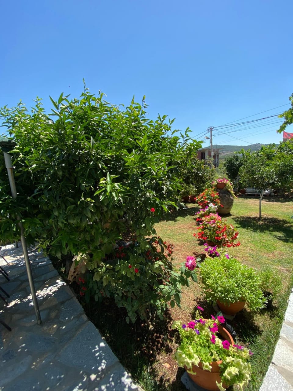 Vila Mare Mateo Bed and Breakfast in Ksamil
