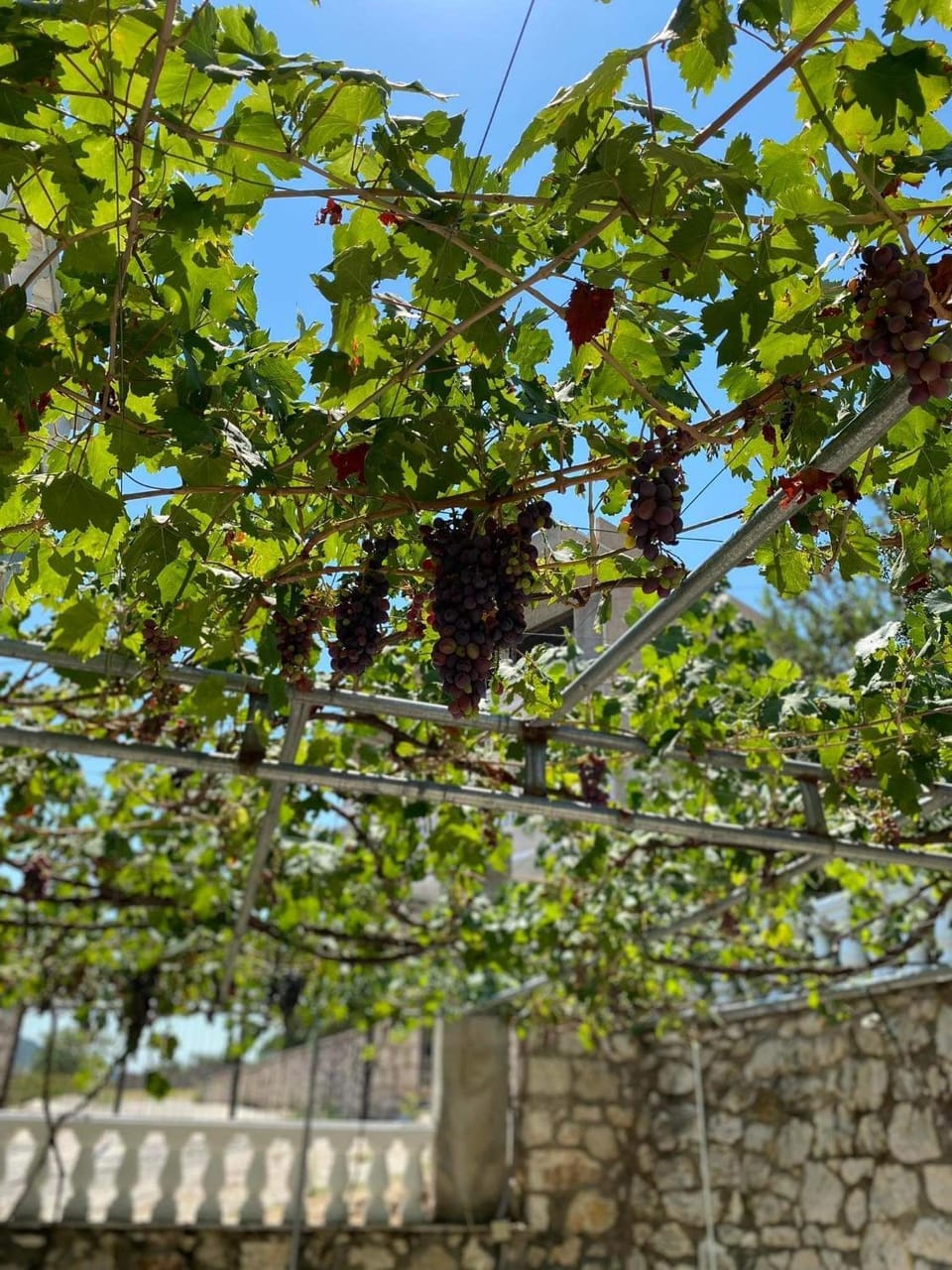 Vila Mare Mateo Bed and Breakfast in Ksamil