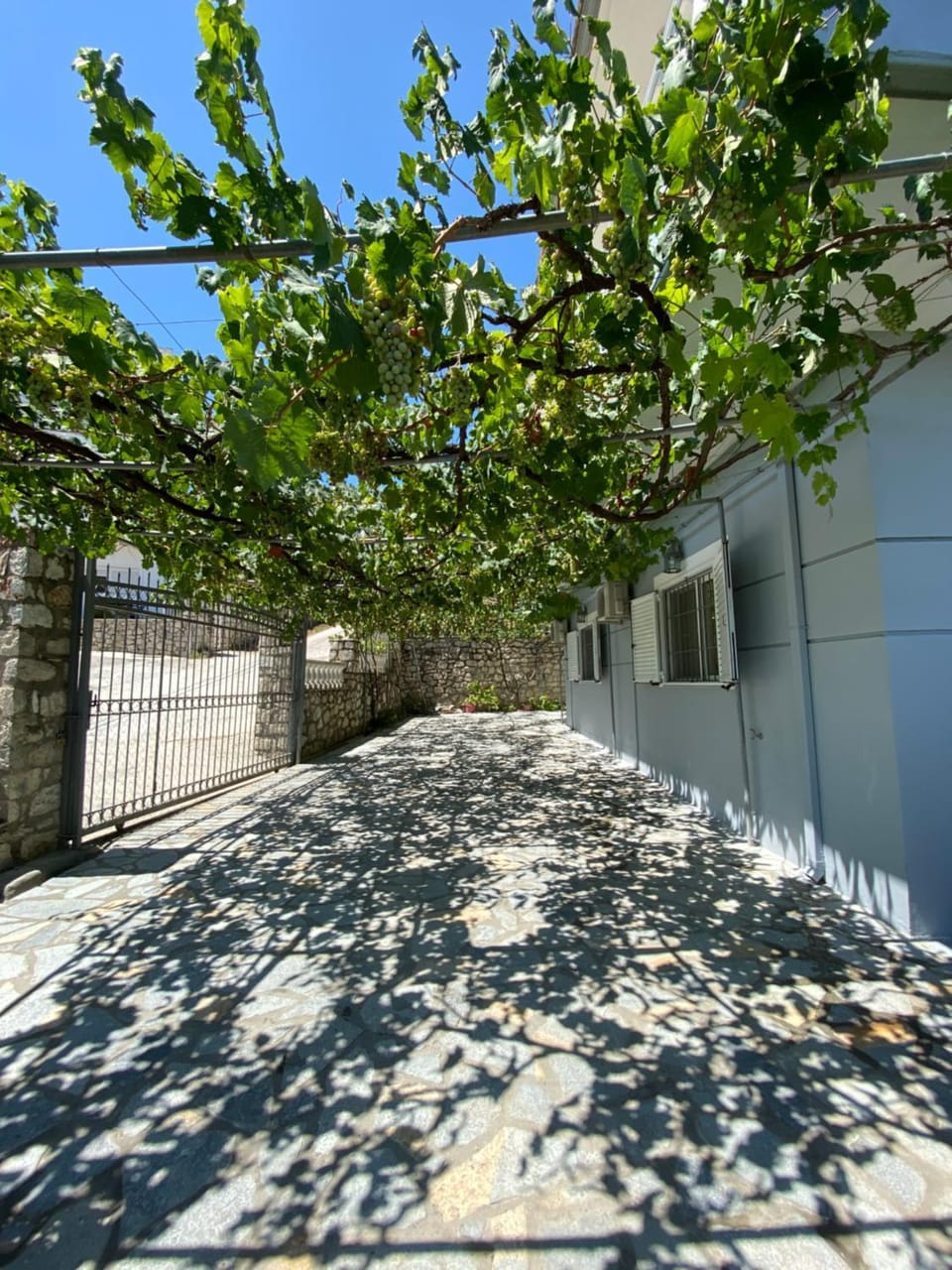 Vila Mare Mateo Bed and Breakfast in Ksamil