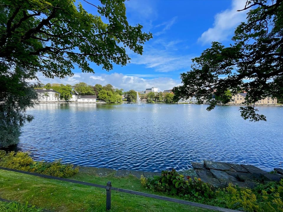 Lake view