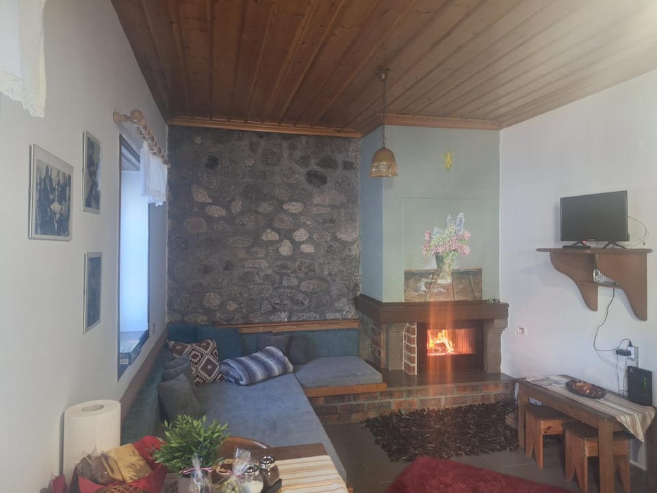 Seating area, fireplace