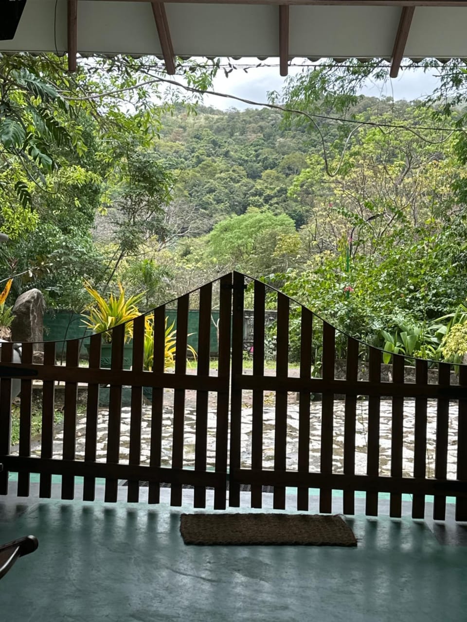 View (from property/room)