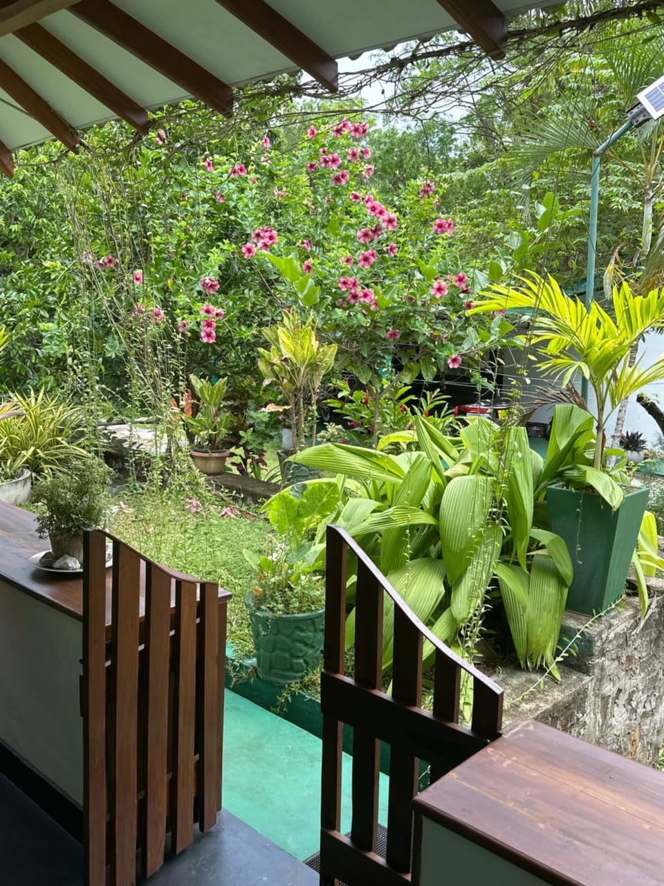 Garden view