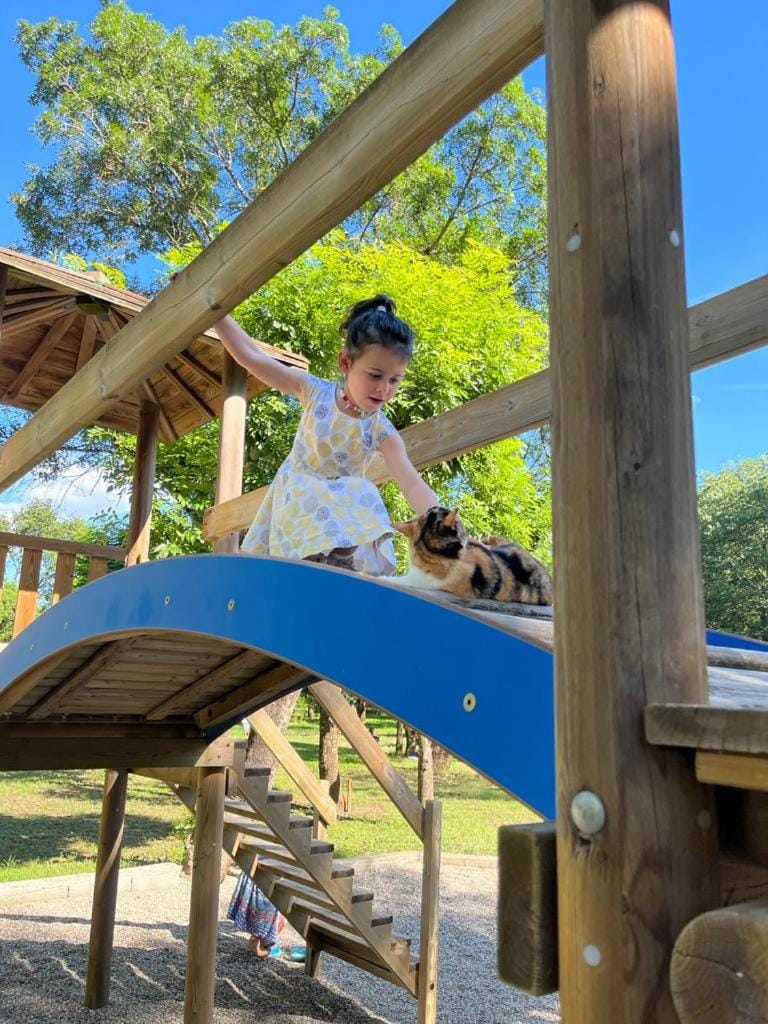 Day, People, Children play ground, children