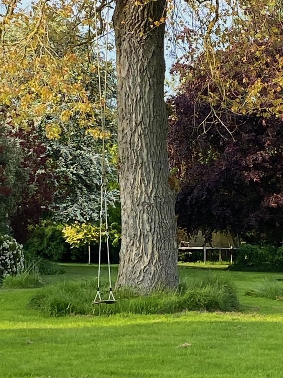Natural landscape, Garden, Garden, Garden view