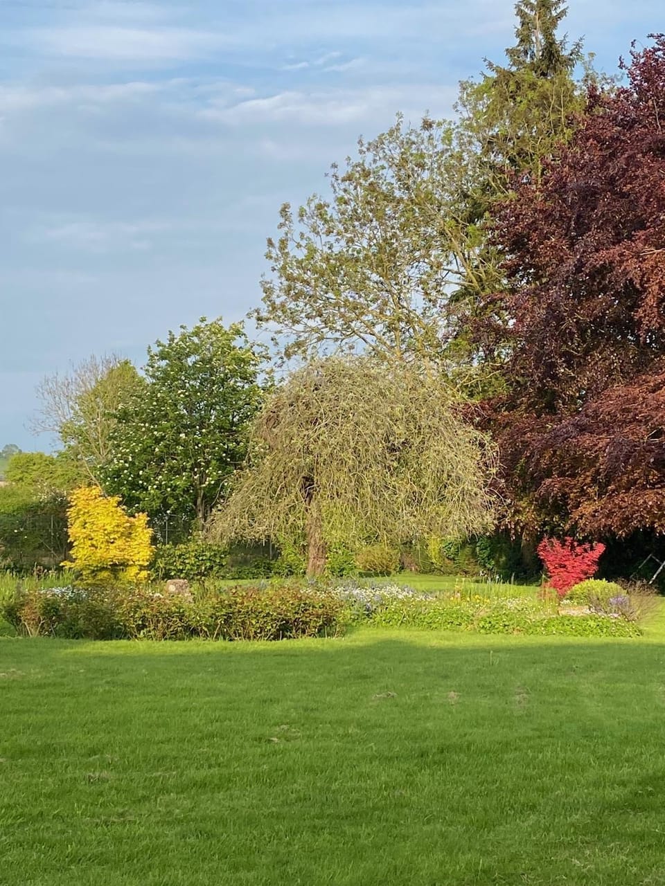Garden, Garden, Garden view