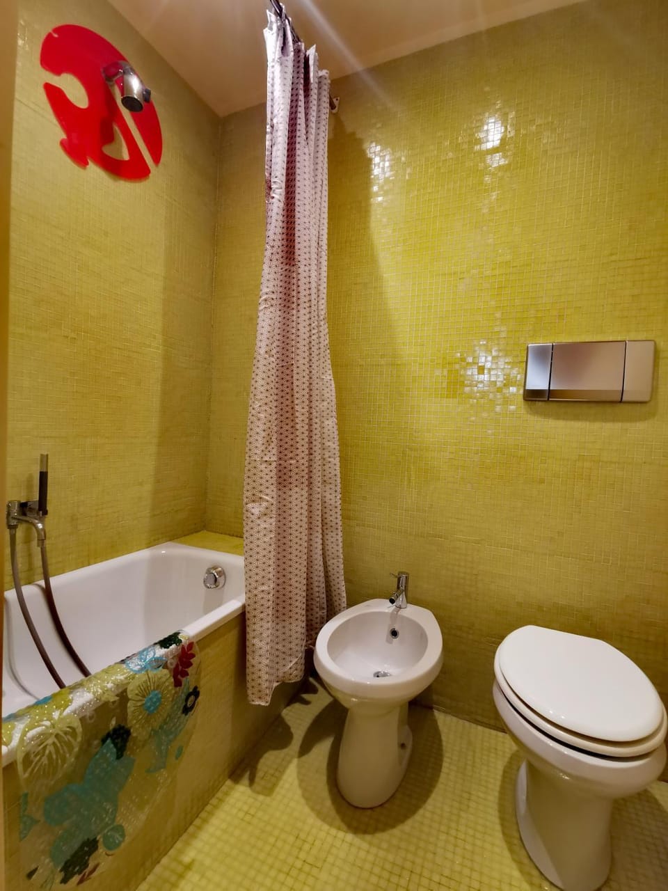 Shower, Toilet, Bathroom, Bath, bidet