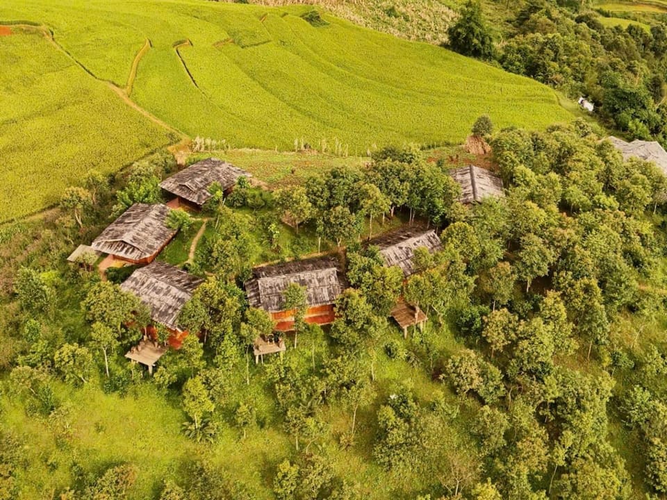 Spring, Day, Natural landscape, Bird's eye view