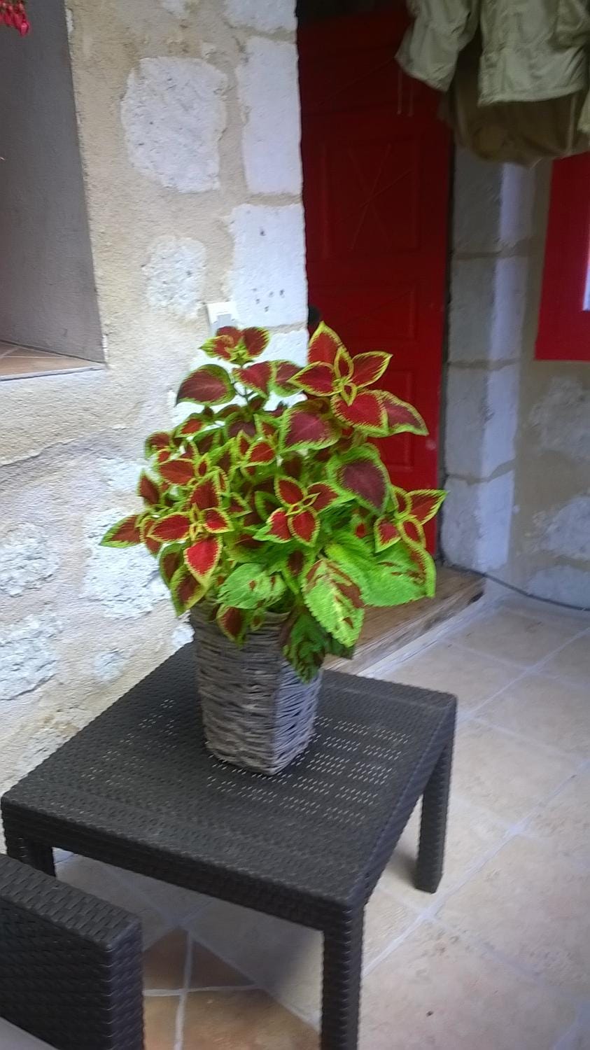 Bella Vista House in Nouvelle-Aquitaine