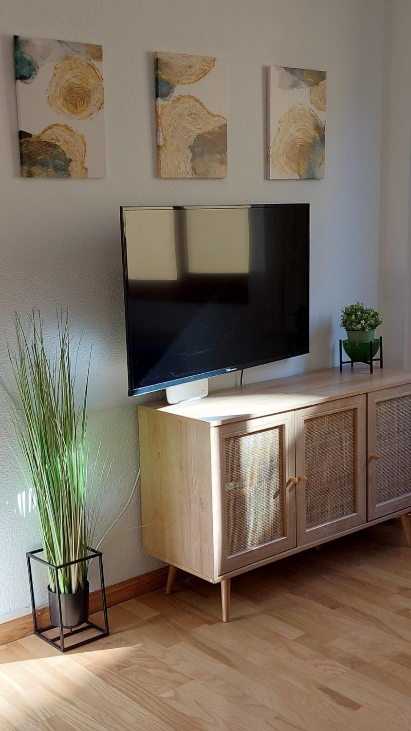 TV and multimedia