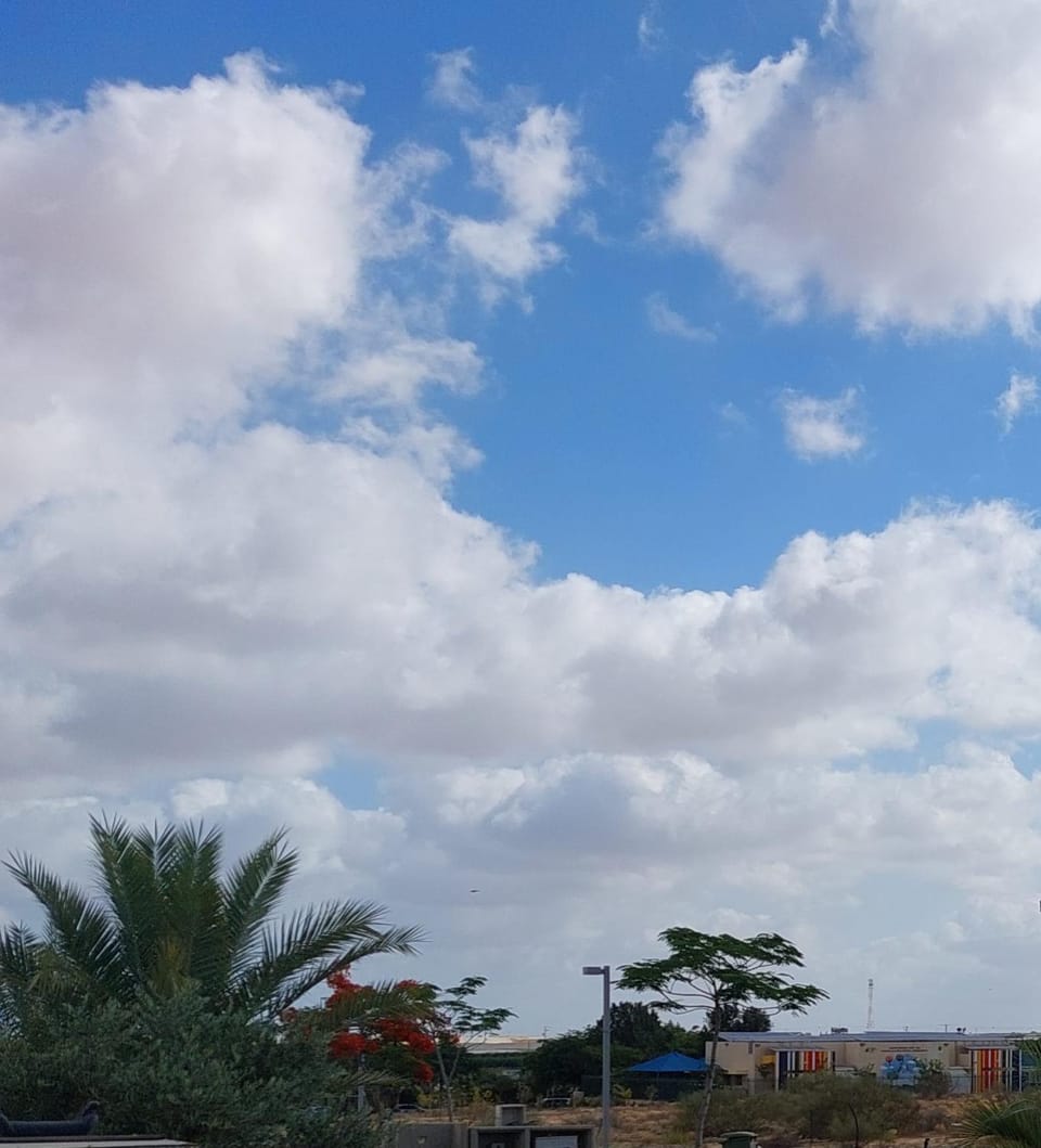 Natural landscape