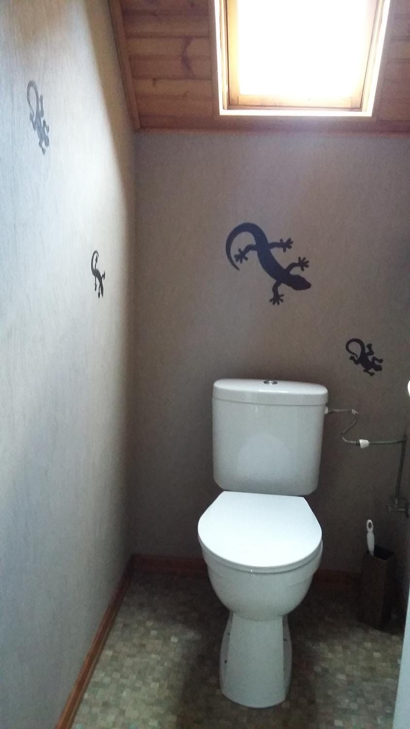 Toilet