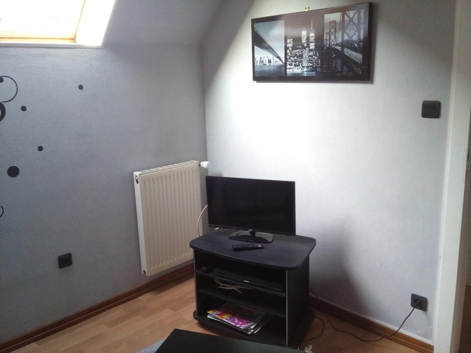 TV and multimedia