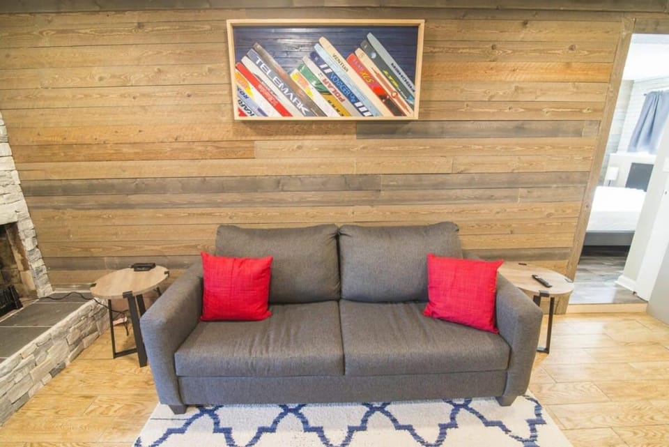 Cozy Main St 1BR Next to Ski Access and FREE Shuttle House in Breckenridge