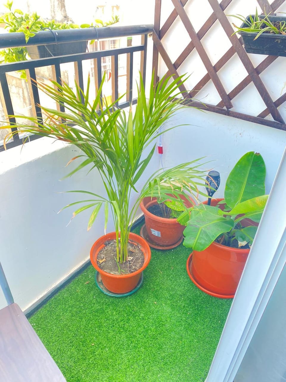 Quarto Nº5 FANTASTIQUE- Central Praia Apartment in Praia