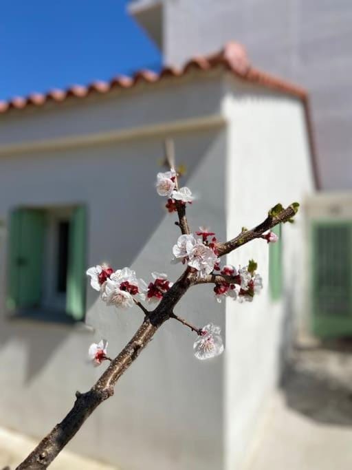 Anastasia, downtown village house House in Peloponnese, Western Greece and the Ionian