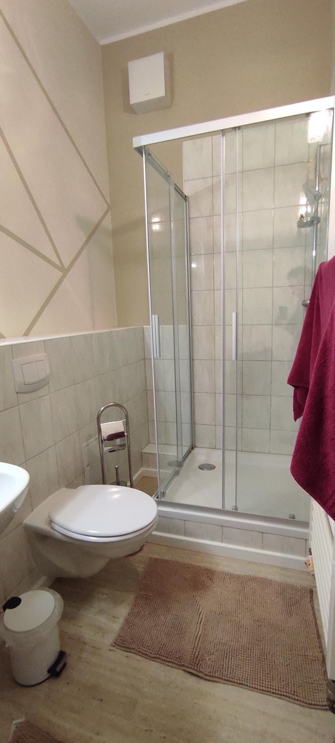 Shower, Toilet, Bathroom, towels
