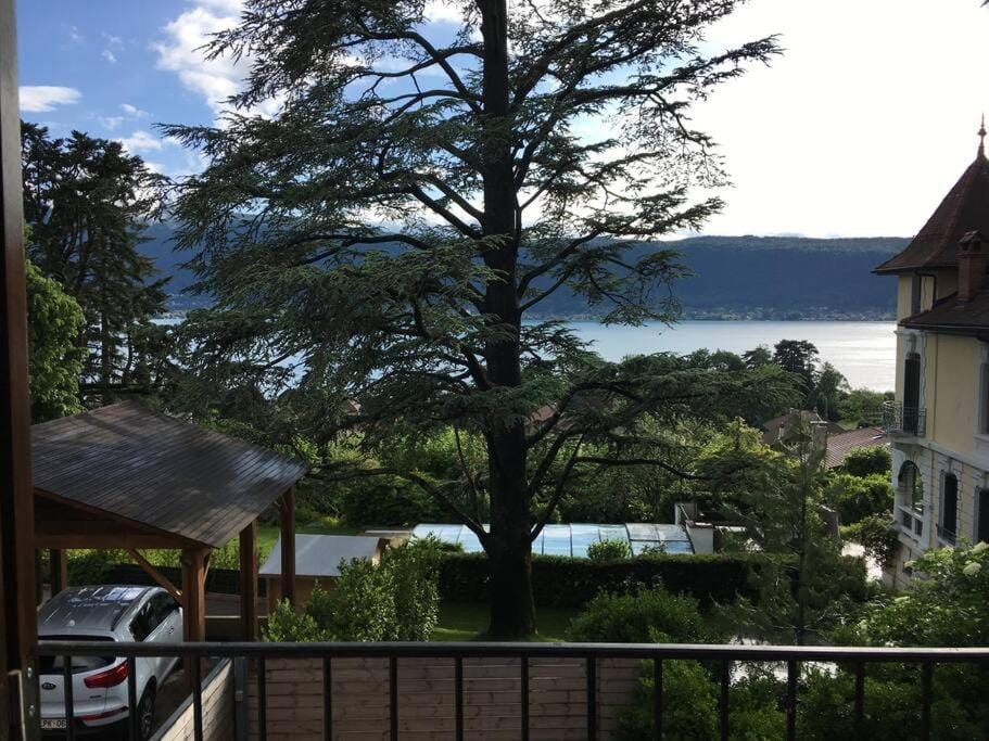 Lake view