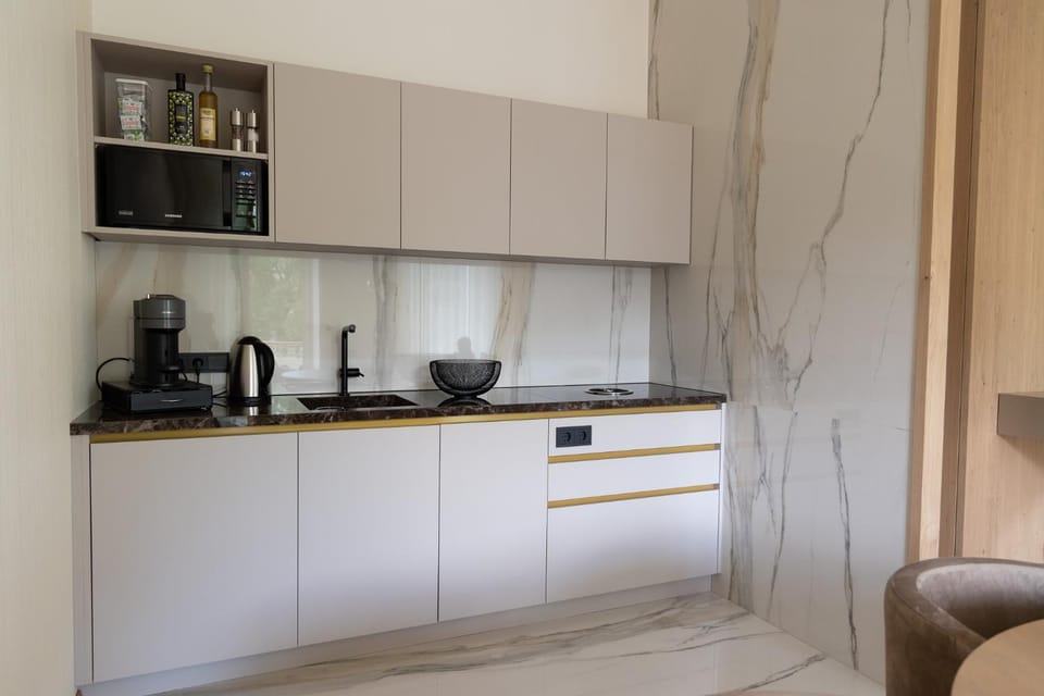 Kitchen or kitchenette, minibar, stove