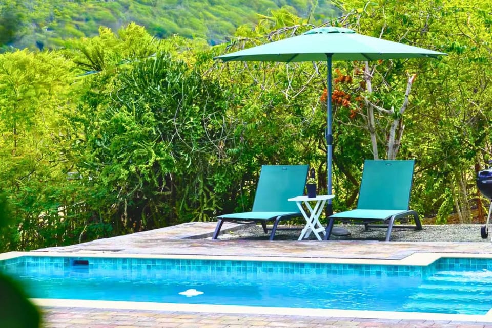 Spring, Day, Natural landscape, Garden, Garden, Garden view, Mountain view, Pool view, Swimming pool, Swimming pool, sunbed