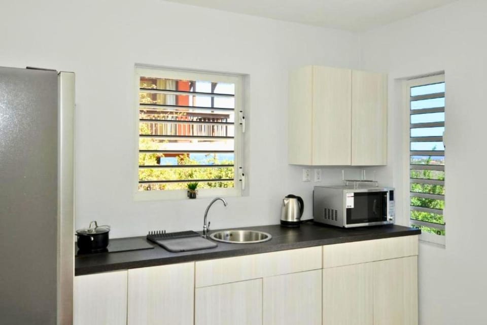 Coffee/tea facilities, Kitchen or kitchenette, microwave, stove, toaster