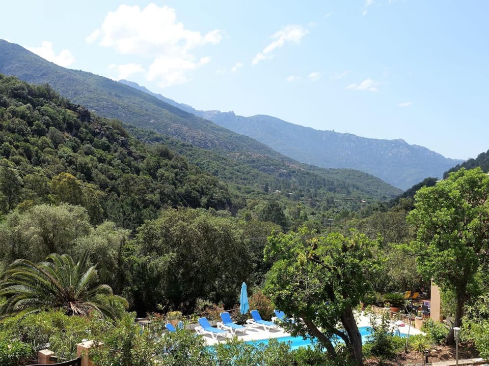 View (from property/room)