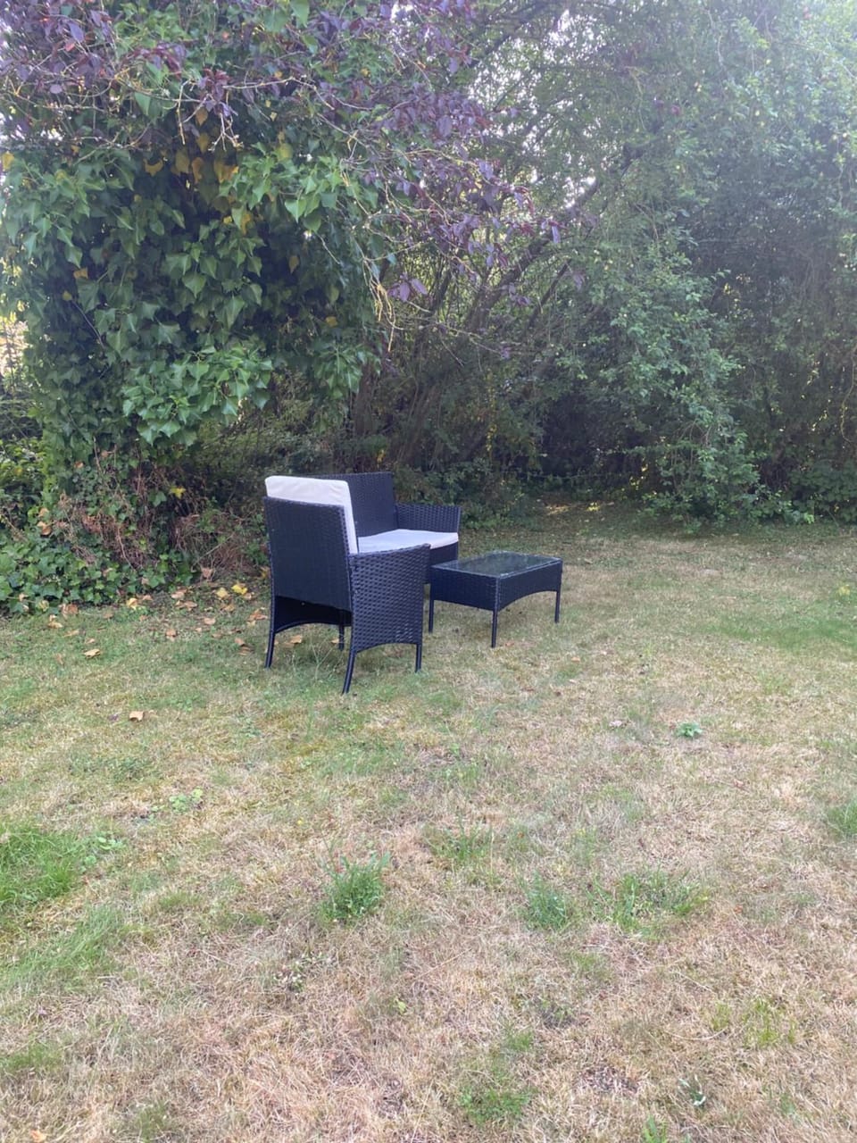 Property building, Garden, Garden