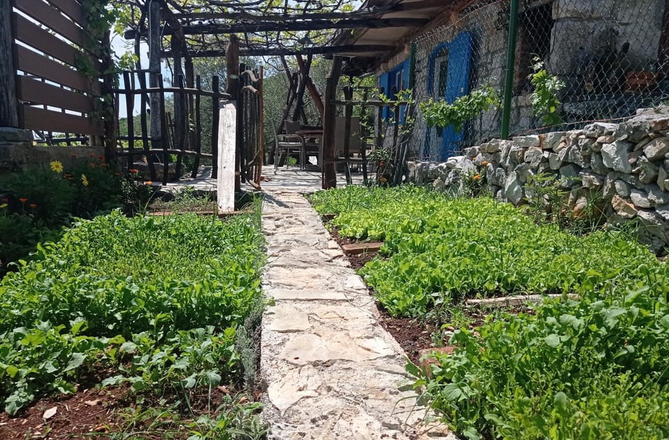 Day, Garden, Garden view
