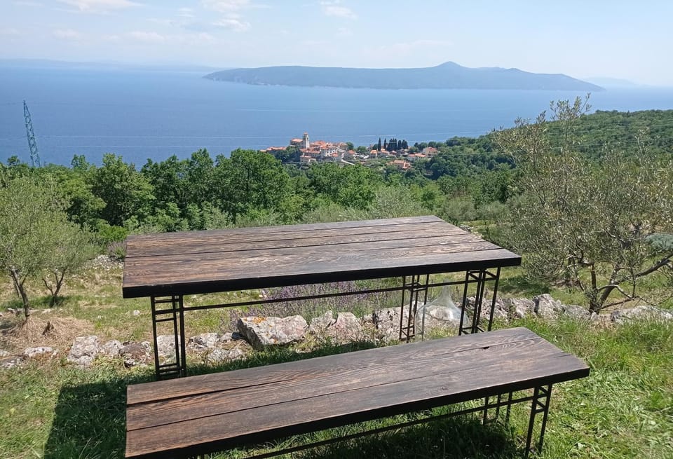Day, Garden, Sea view