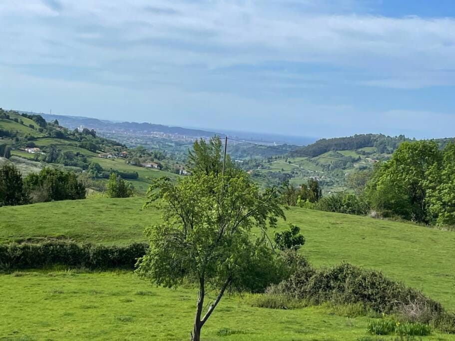 Natural landscape