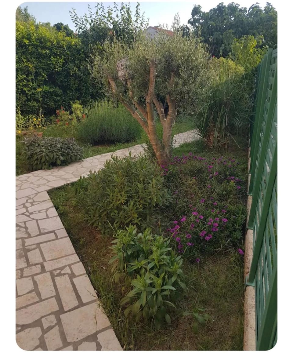 Prostran apartman Niko - idealan za veliku obitelj Apartment in Pula