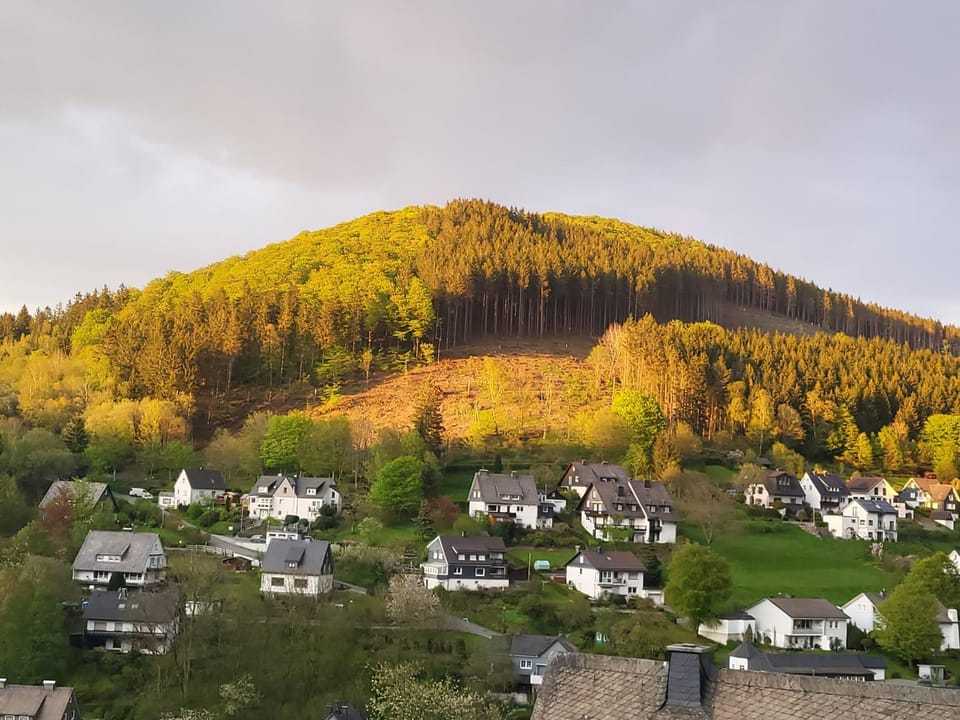 Spring, Natural landscape, Mountain view