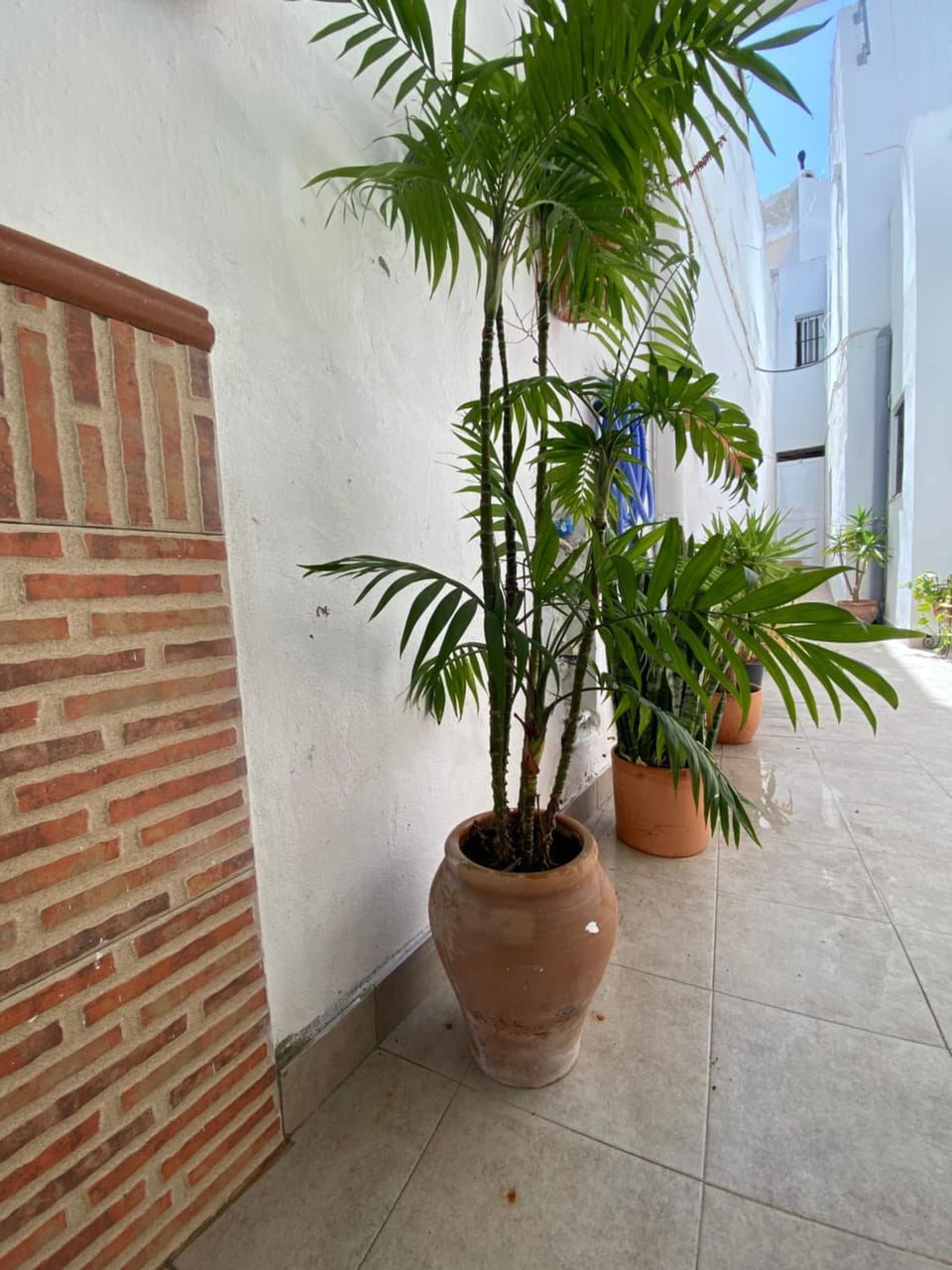 Casa Calle House in Vejer de la Frontera