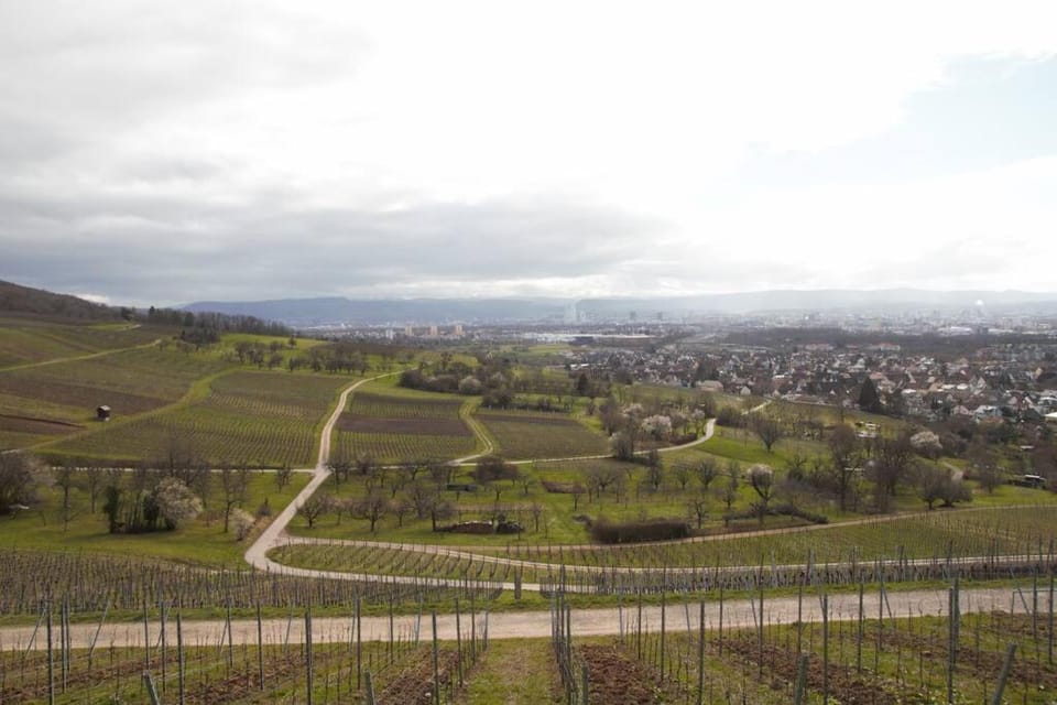 Natural landscape, City view