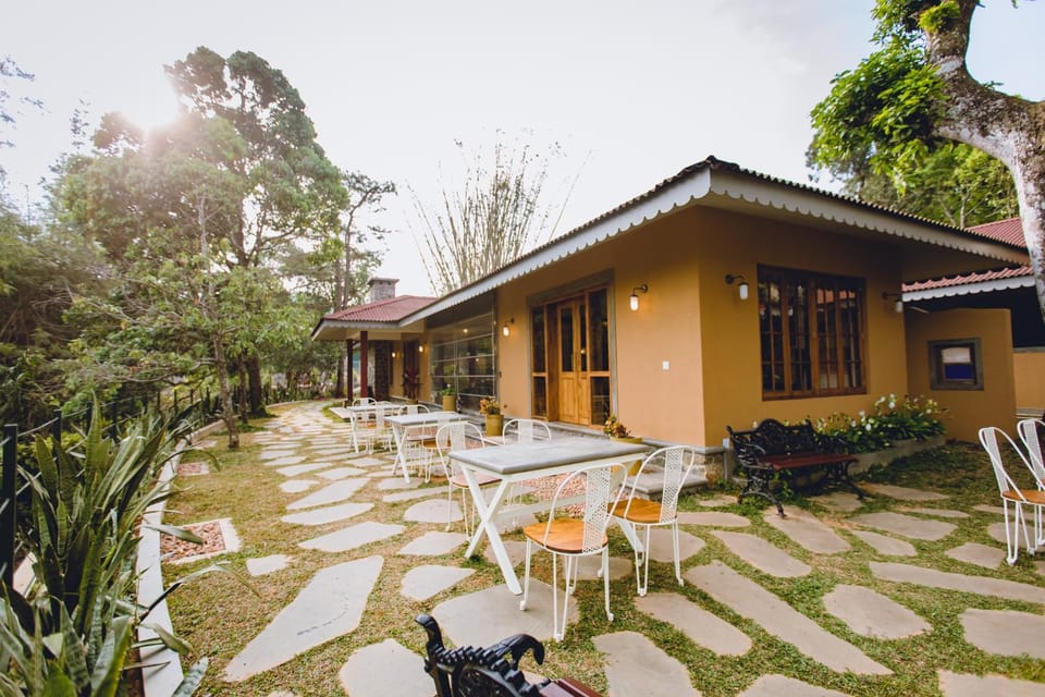 Patio, Restaurant/places to eat