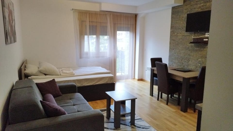 Šarm studio 101 Apartment in Zlatibor
